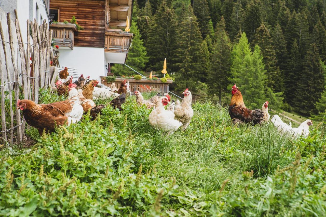 Ferienwohnungen Wiesbauer Шена Екстериор снимка